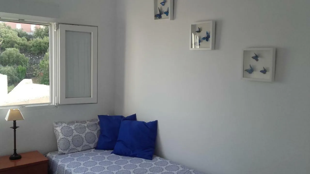 Canary House Ingenio